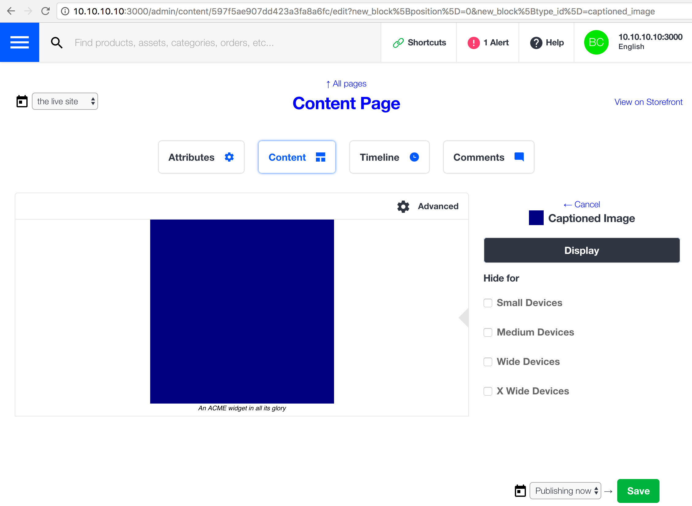 Editing a static captioned image block with custom icon