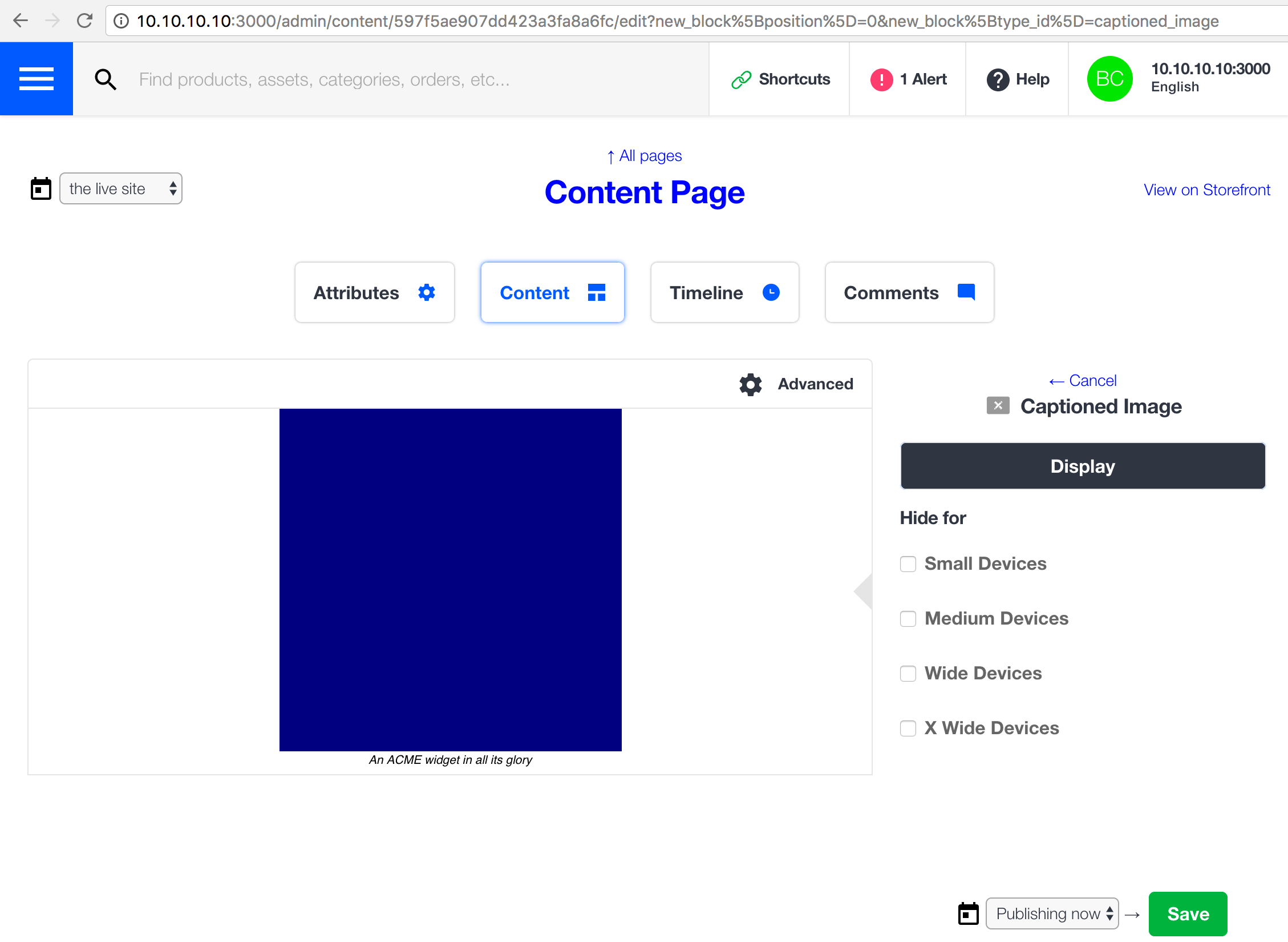 Editing a static captioned image block with default icon